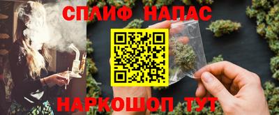 сатива Можга