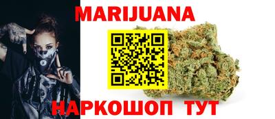 сатива Можга